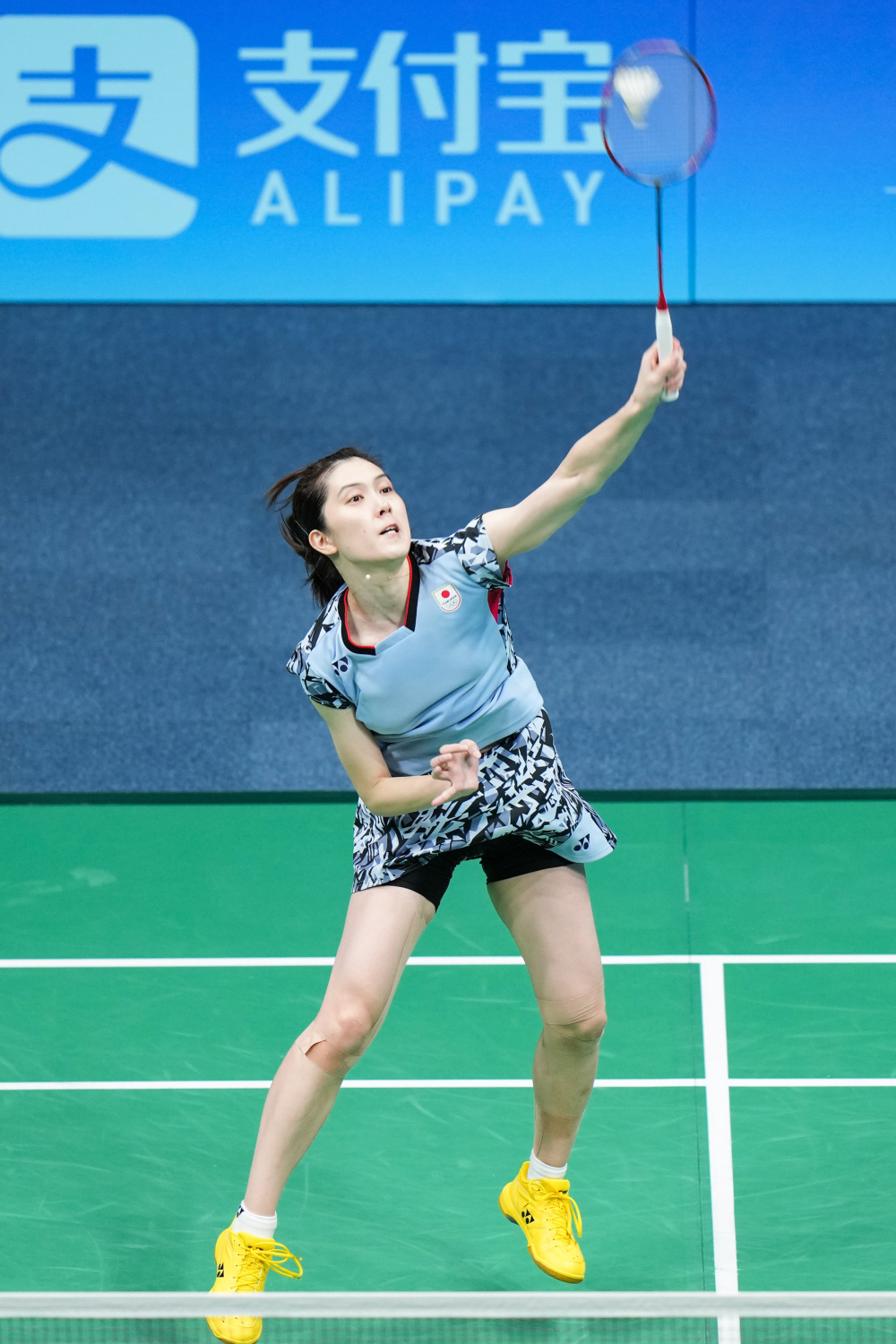 低了参加比 低了参加比